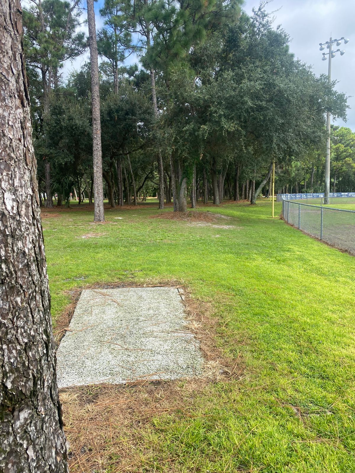 Hole #3.   245ft
