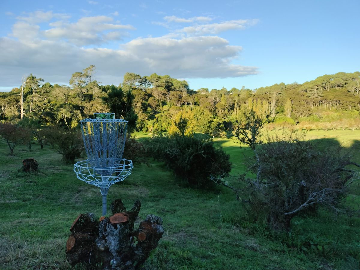 A retired orchard great for DG :)