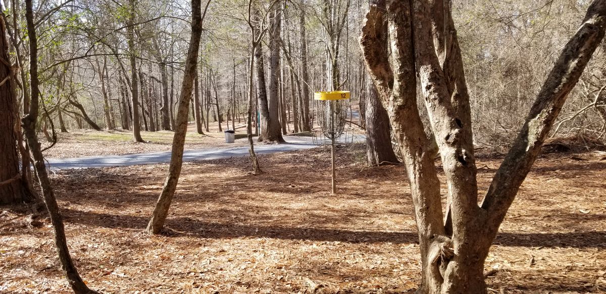 Hole 12 Green (C Pin Location)