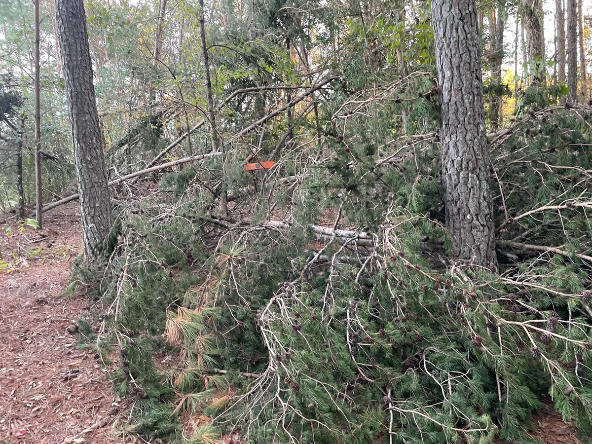 Hole 5 basket.