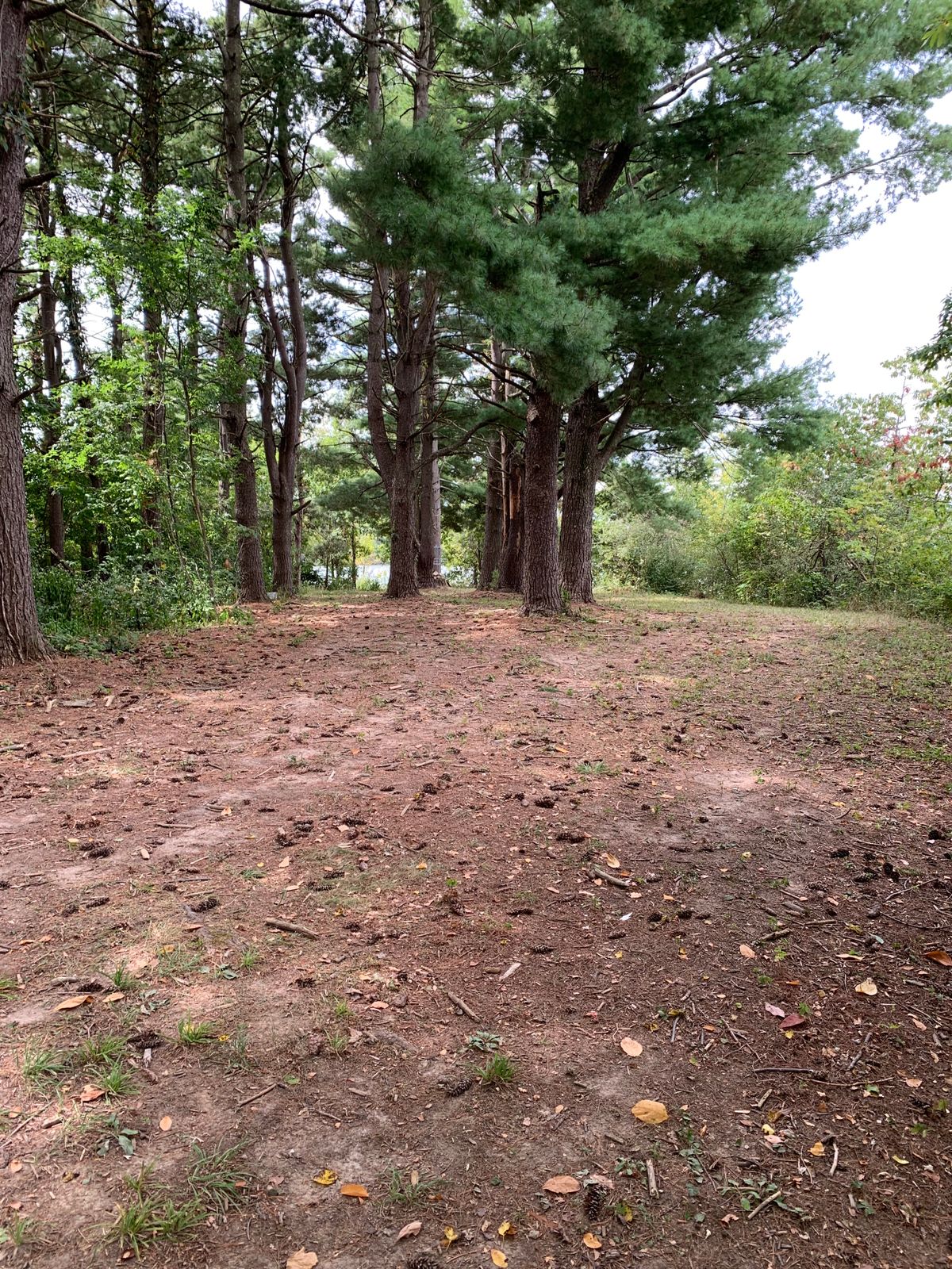 Hole 6 C Pin Approach
