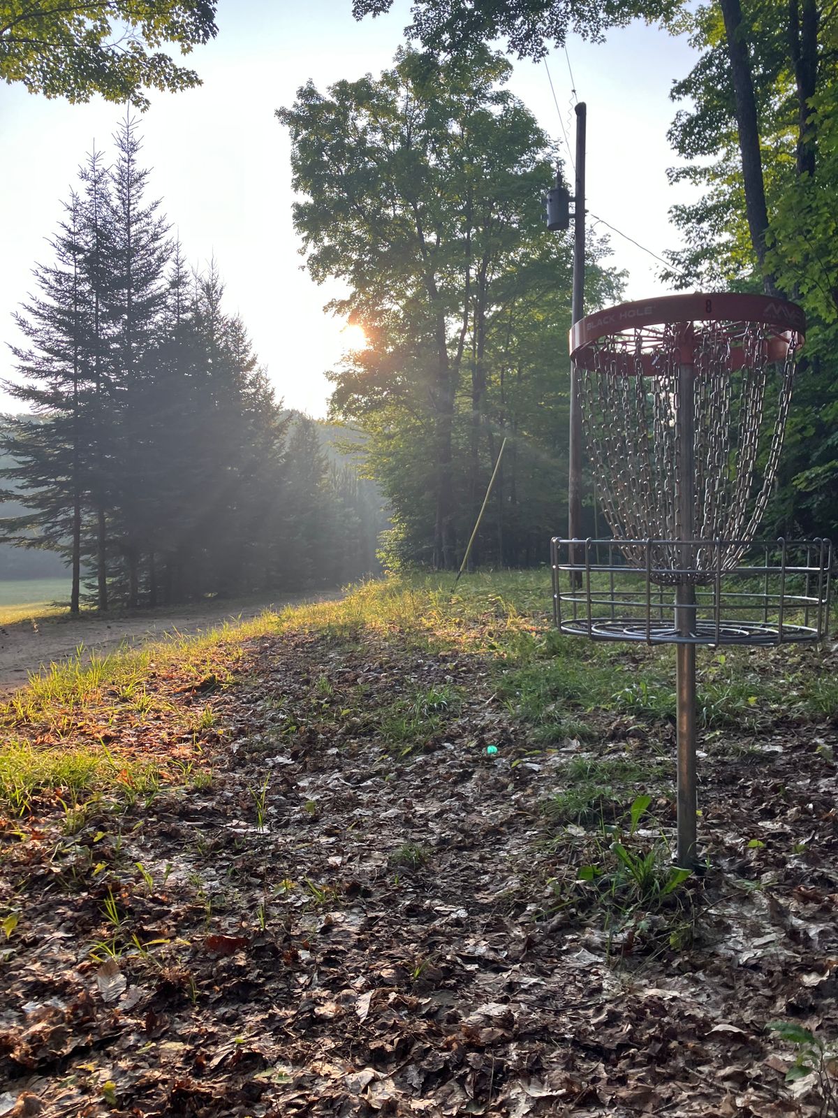 Basket of hole 8