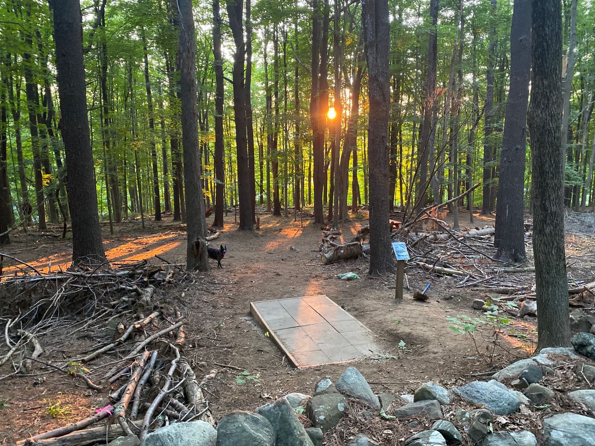 Tee pad 12