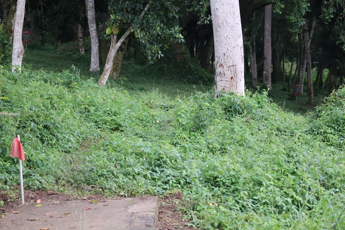 Hole 6 Short Tee