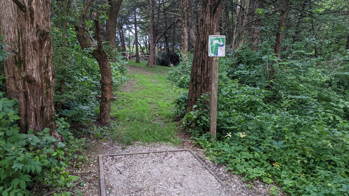 Tee 8
