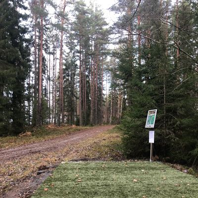 Tee 3.