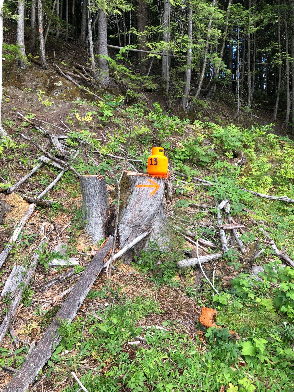 Hole 13 object