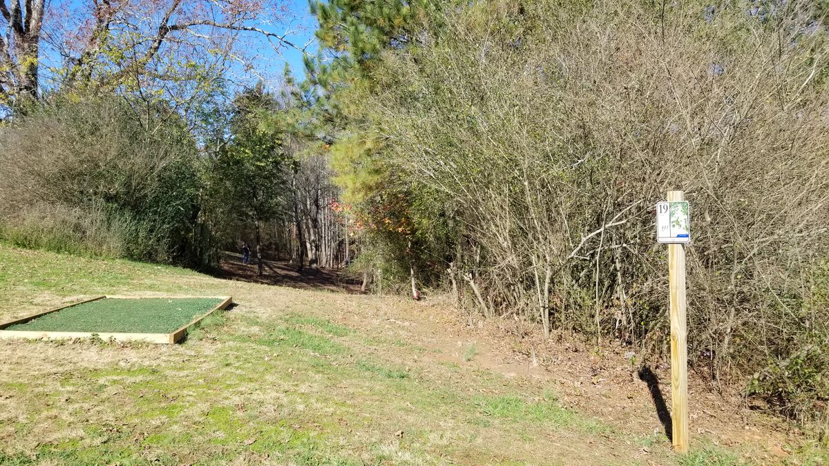 Hole 19 Tee