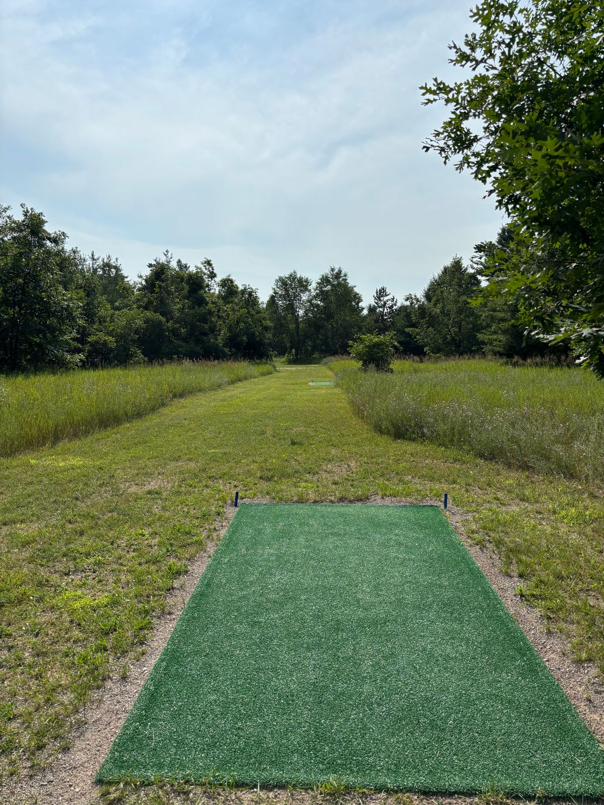 Blue tee pad, dog leg left
