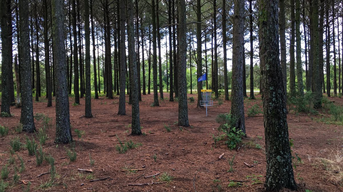 Hole 3