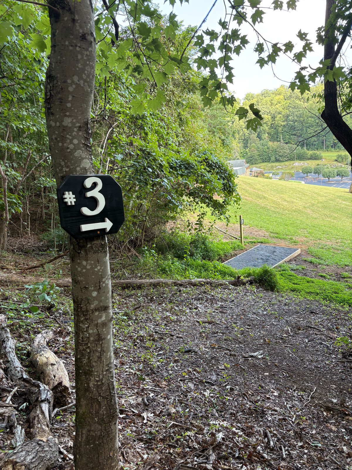 Hole 3 tee
