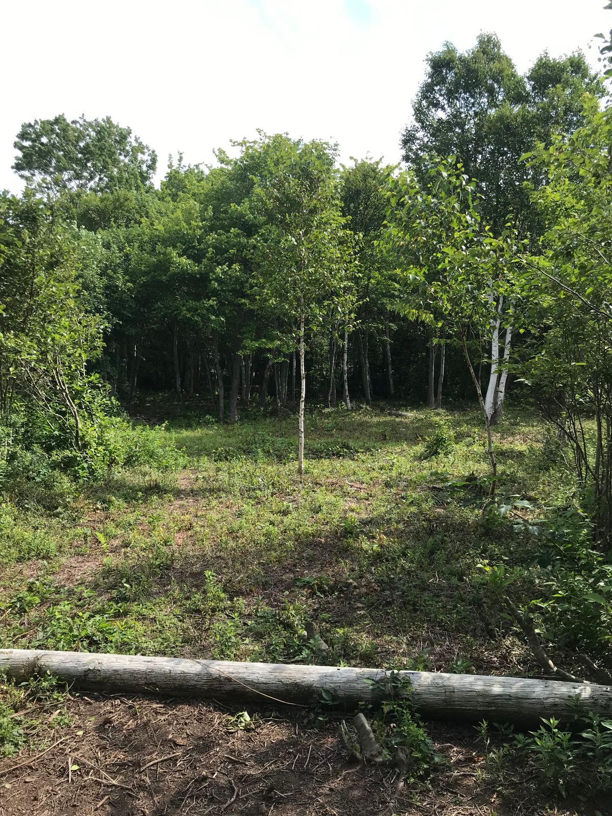 Hole 4 Tee