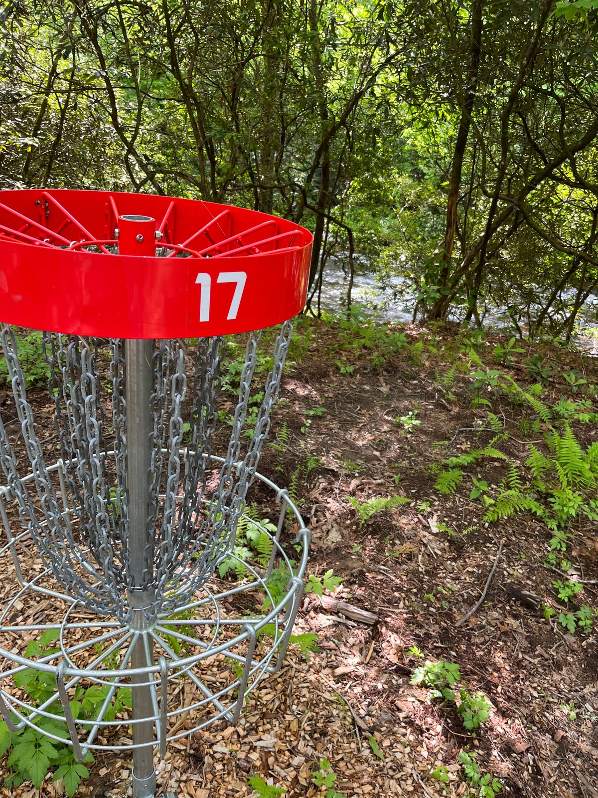 Hole 17 which parallels the River