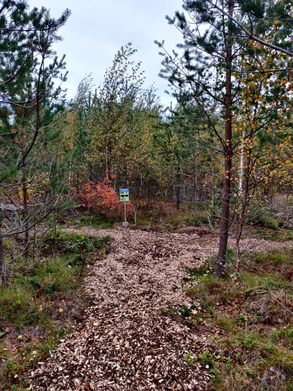 Siirtymä haketettiin 18.9. 👌