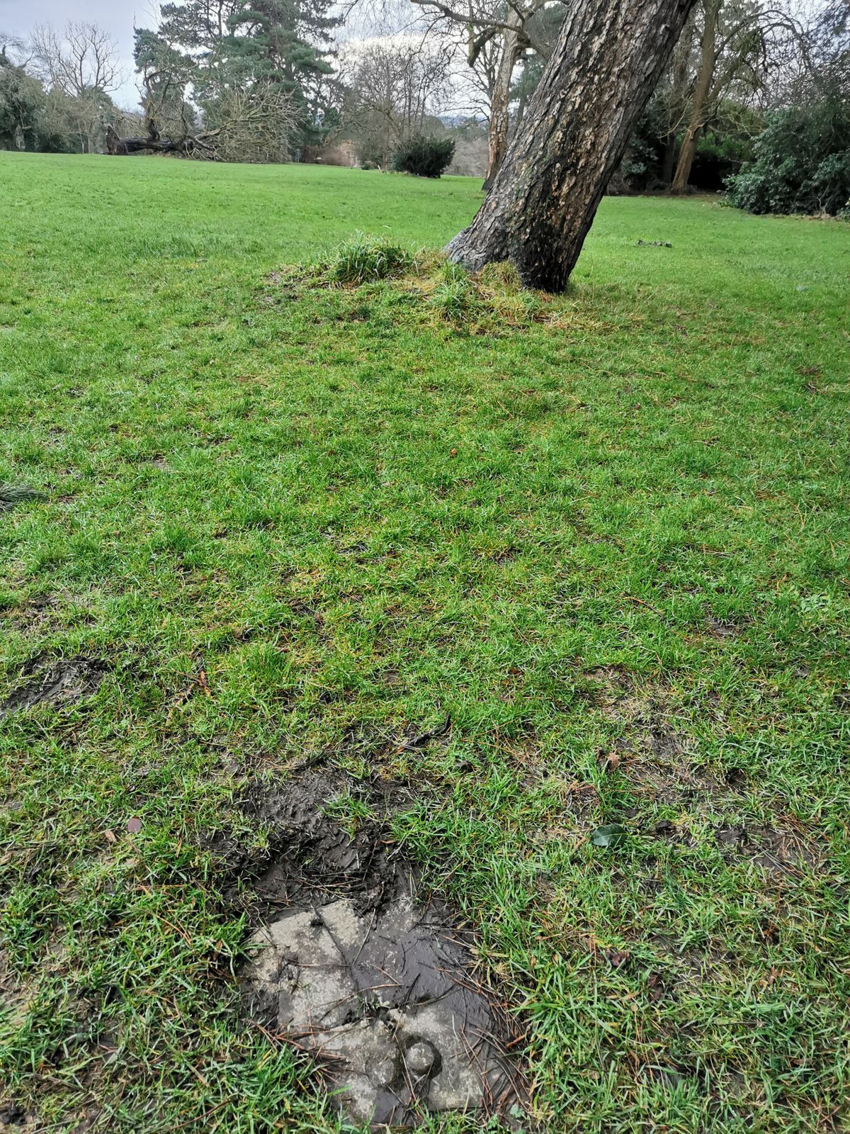 Hole 8