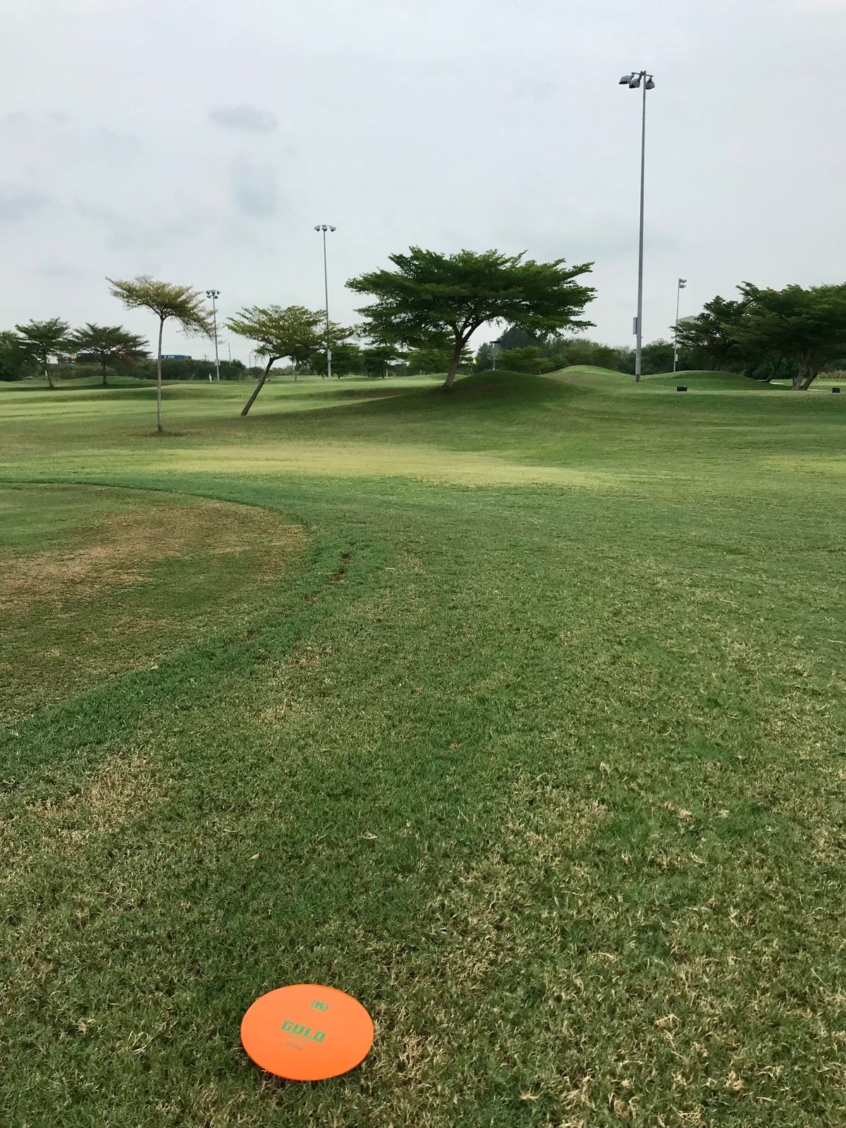 Hole 5 Fairway (Approach Shot)