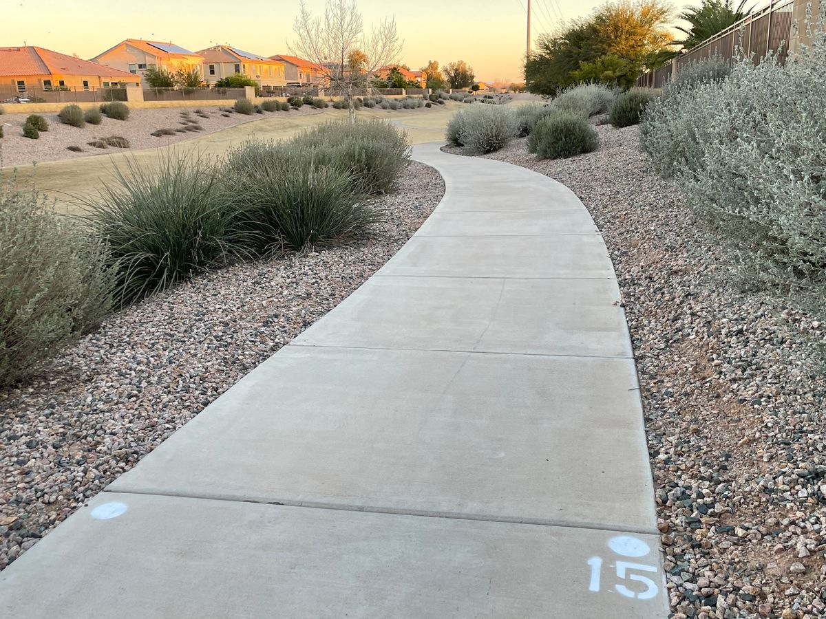 Hole 15: Don’t grip lock, or your disc is gone.