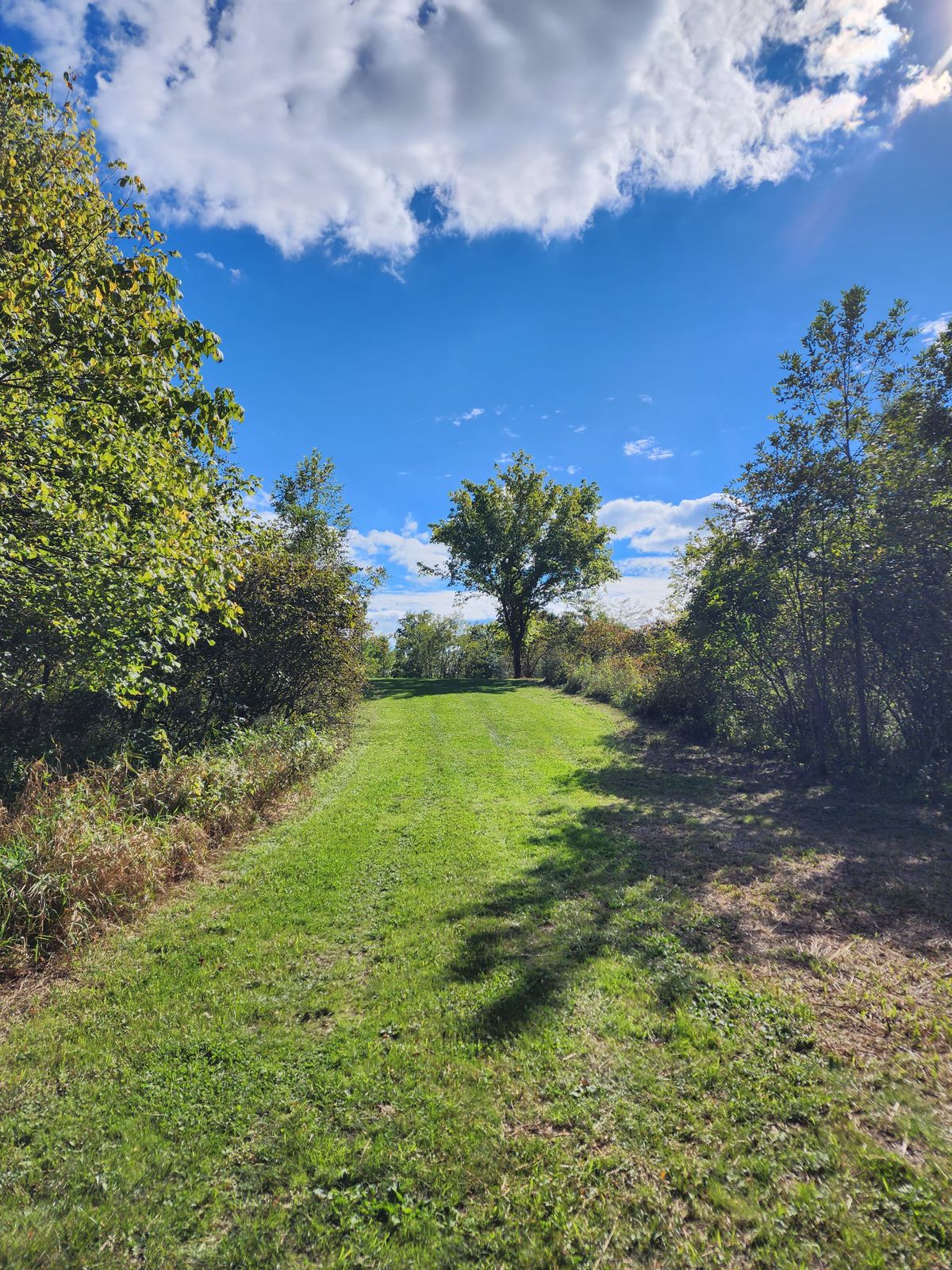 No. 3 fairway