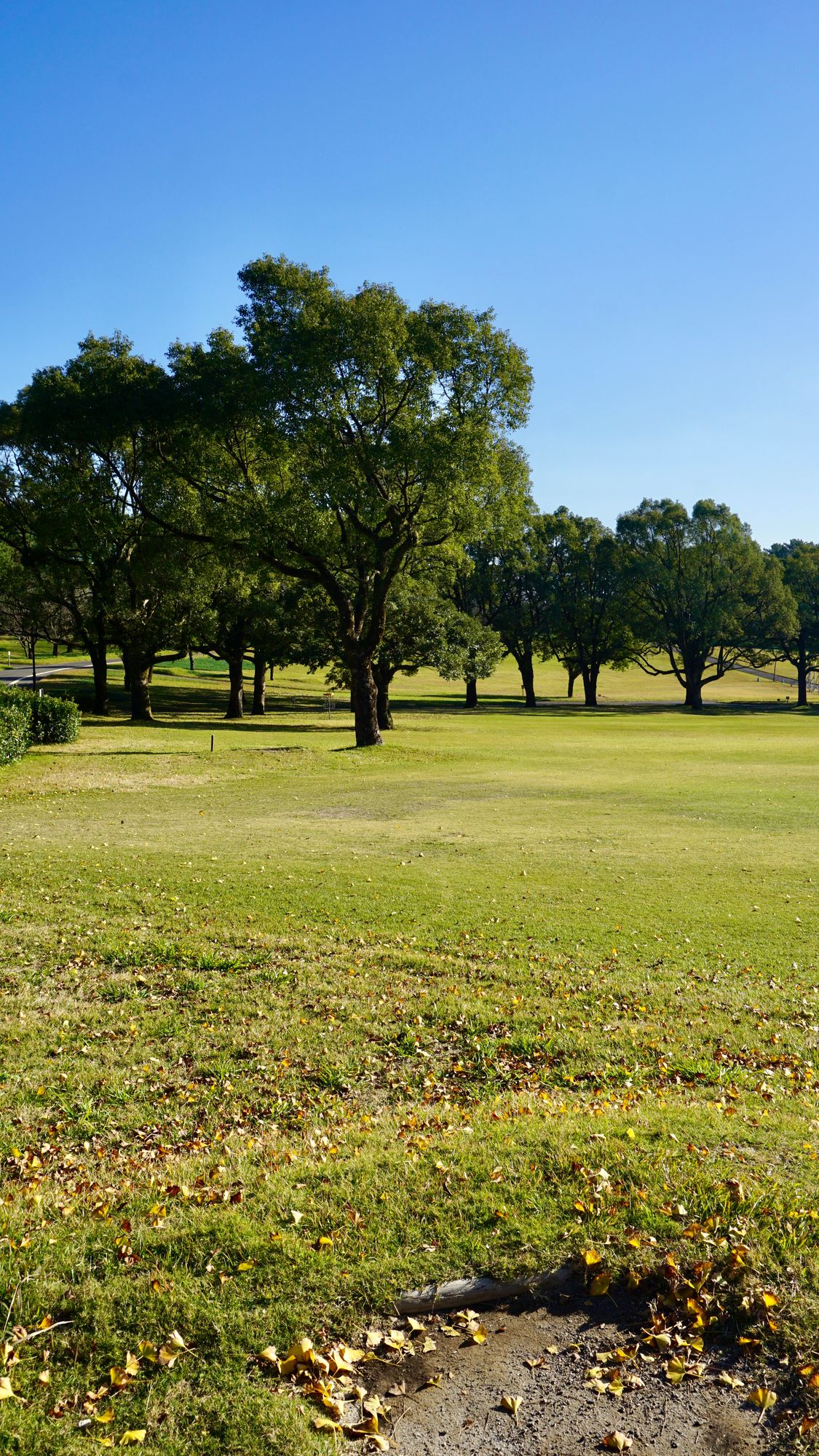 Pro Hole 4