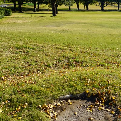 Pro Hole 4
