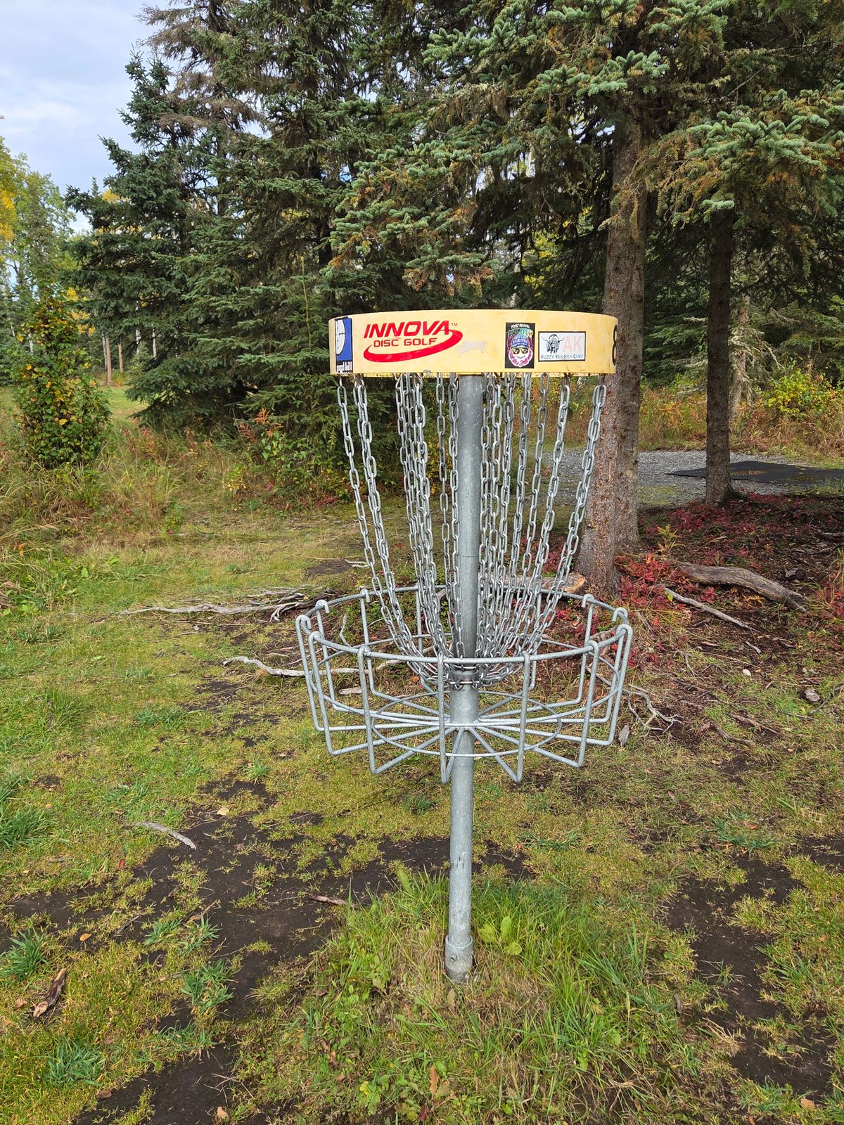 #7 basket  (it says 8)