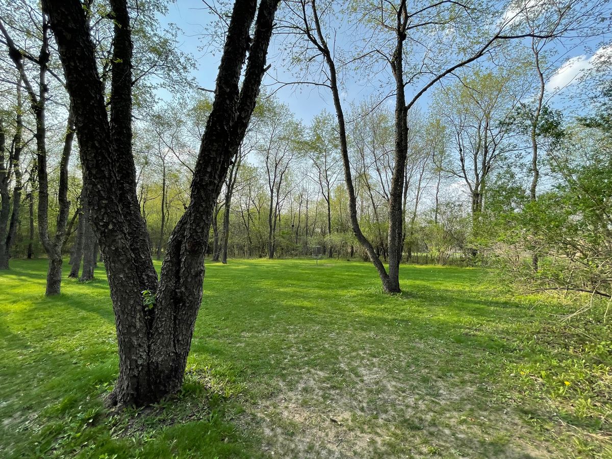 Hole 12 basket (blue placement)