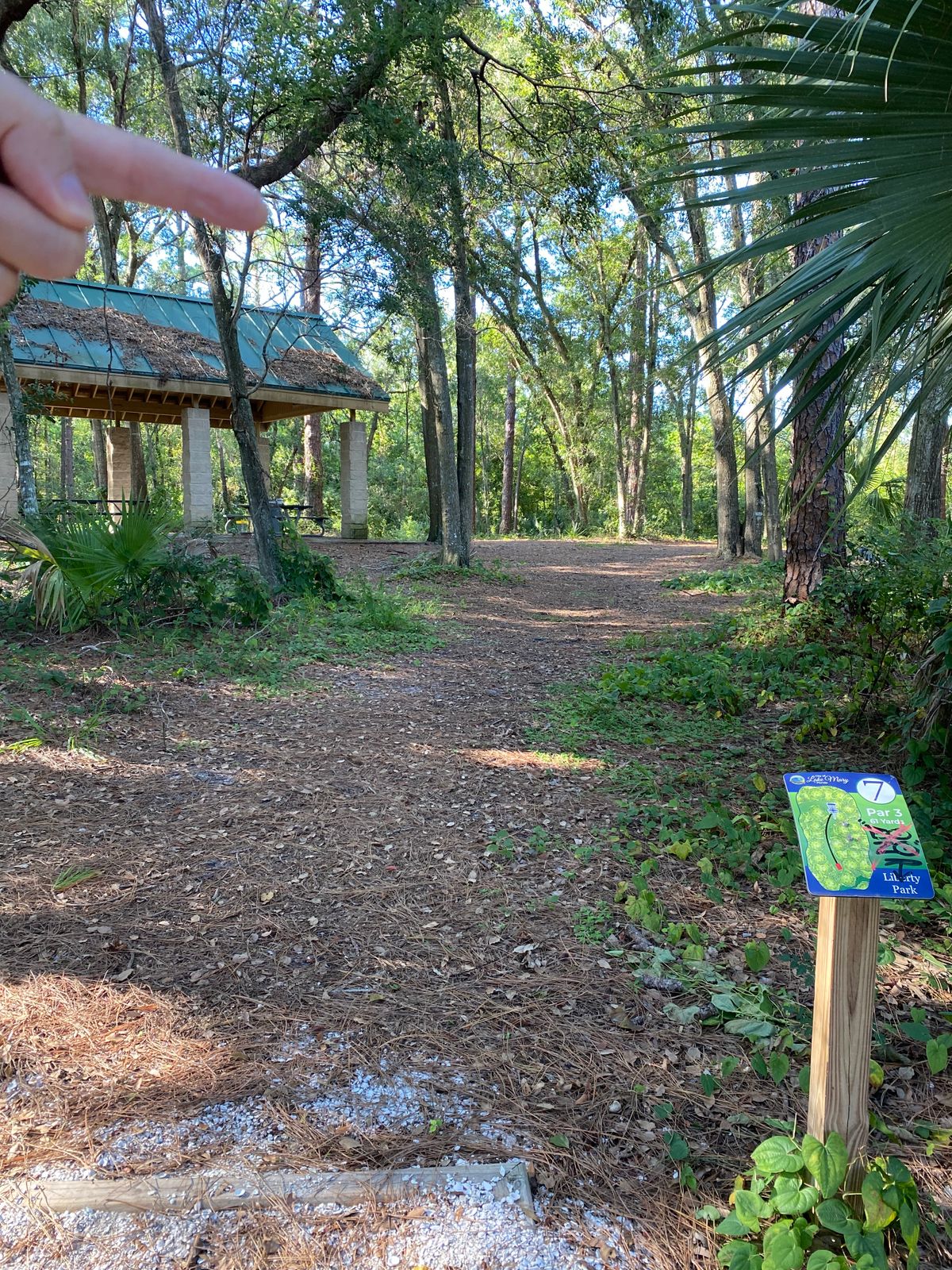 Hole #7 has a sharp right turn in tight trees.