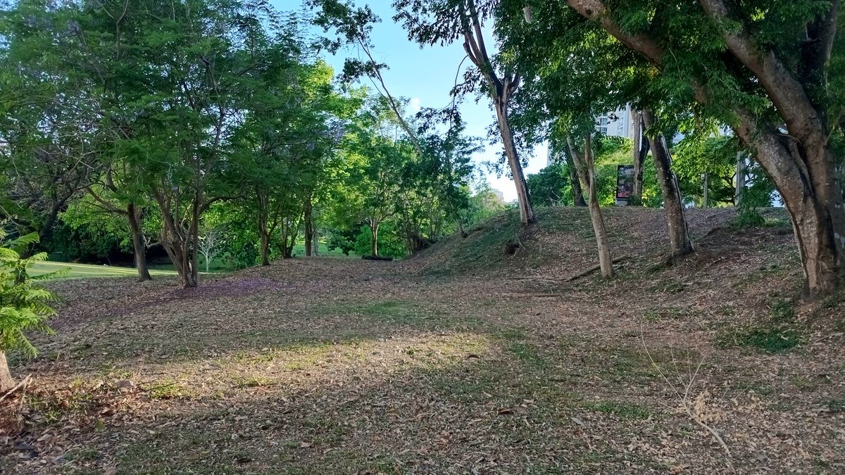Parque Omar DG Course
Hole 8 Tee