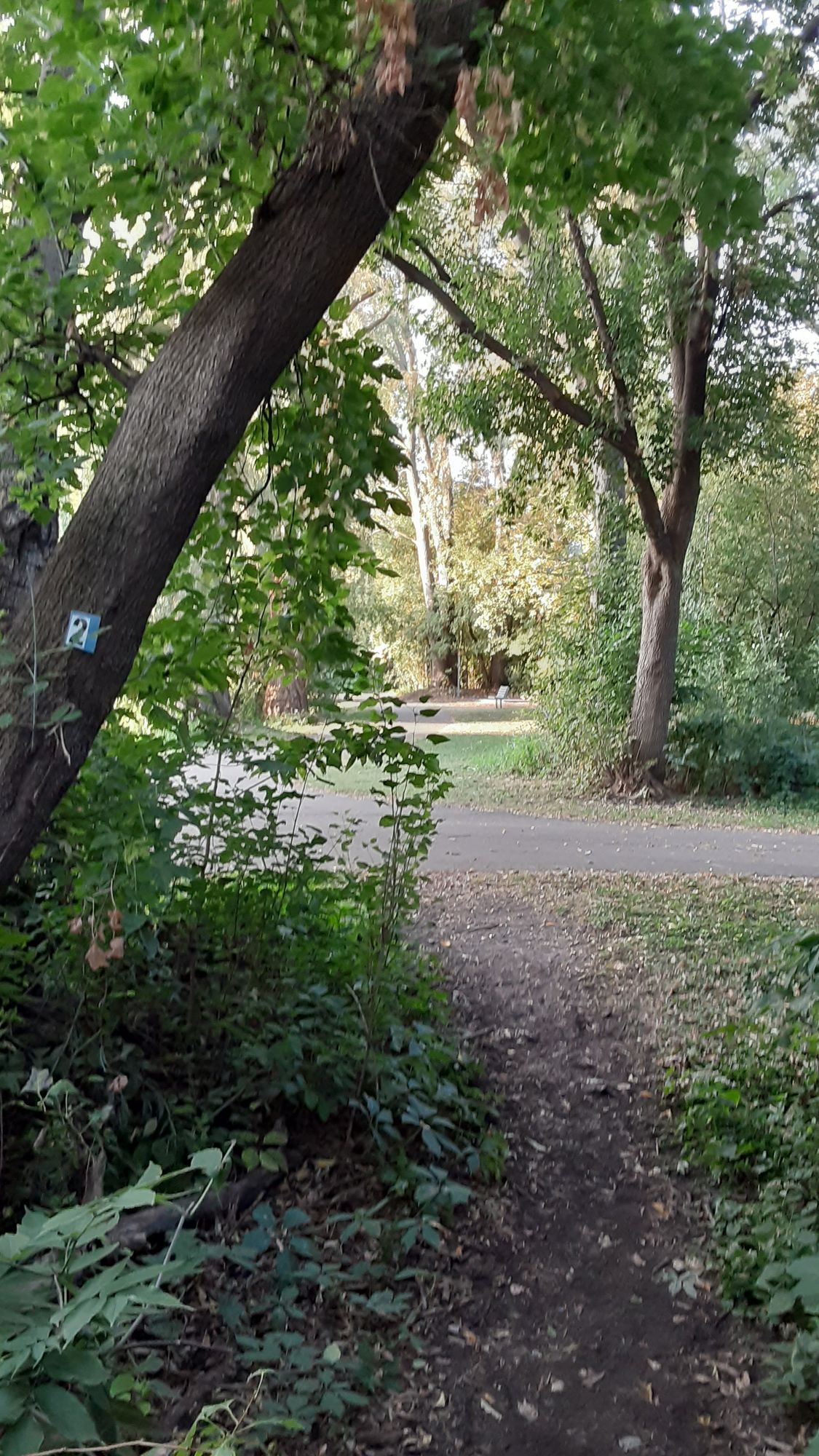Path to tee pad 2.