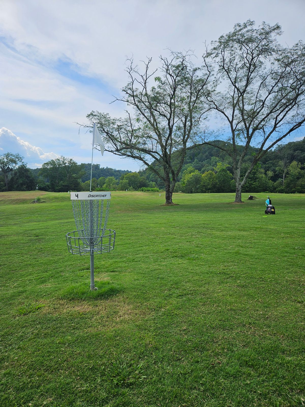 Hole 4 Long Basket. Looking towards Teepads.