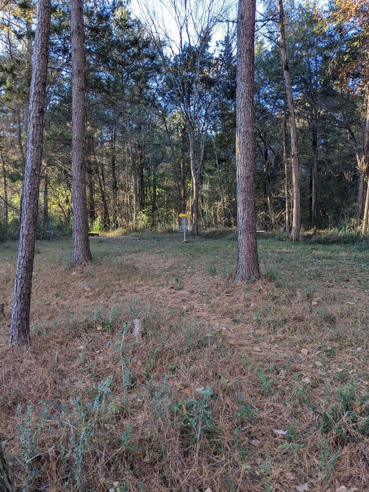 Hole 12 green
