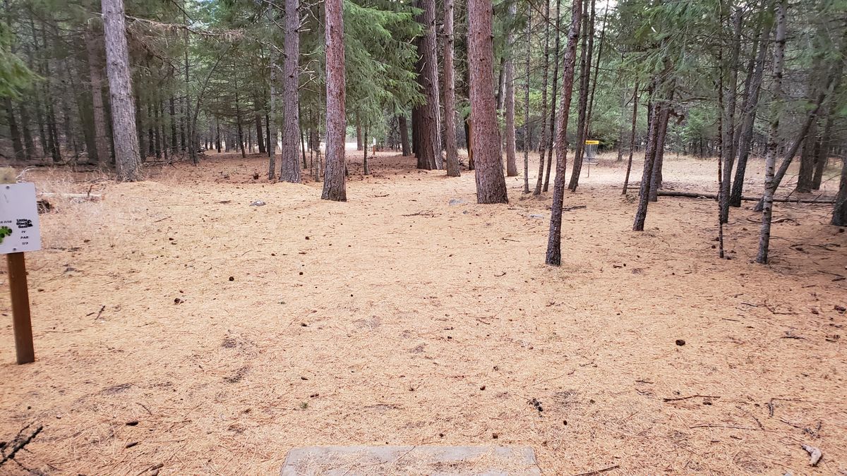 Tee pad hole 16/7 [9 hole]