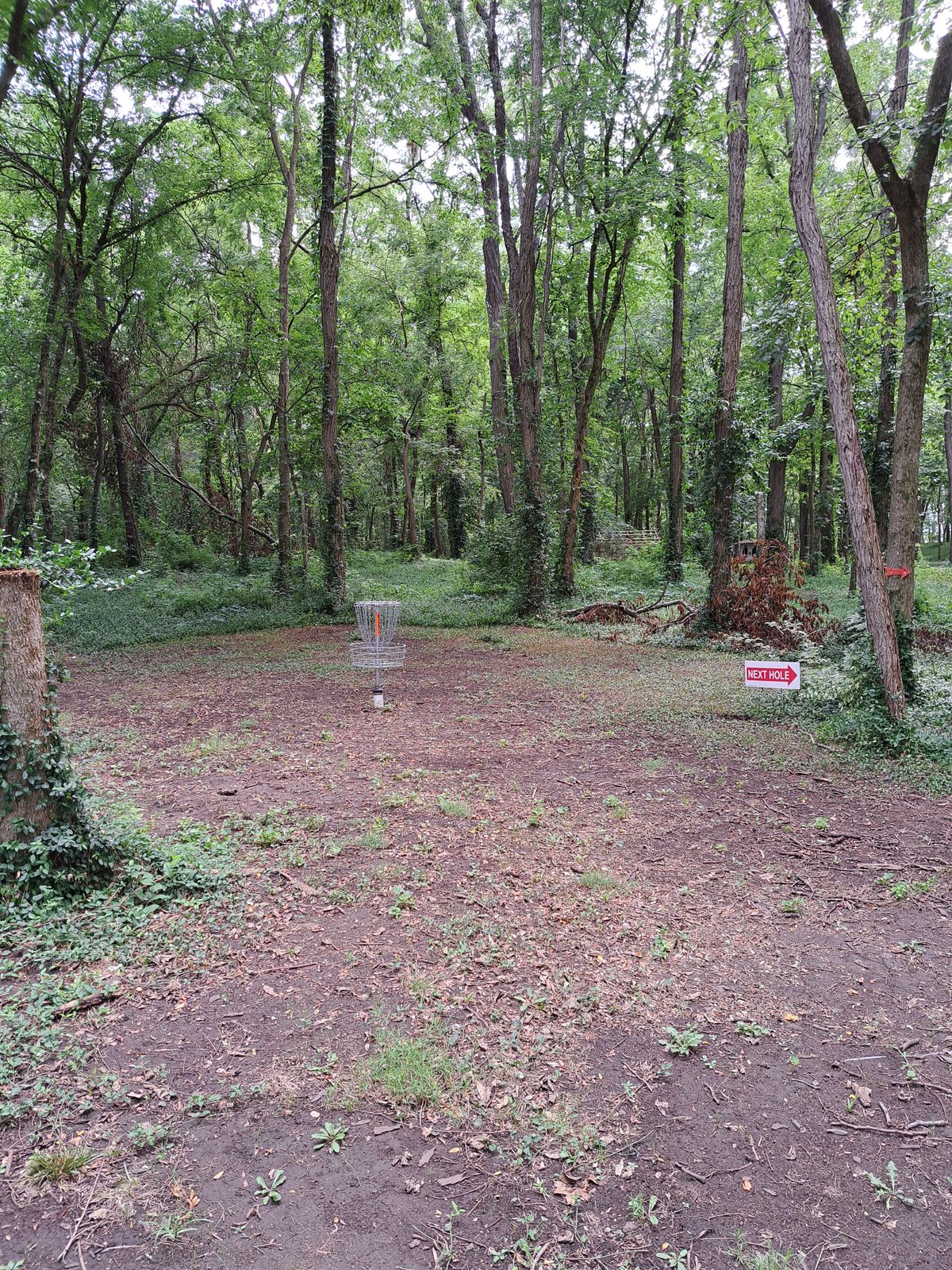 Hole 1 green.    7/3/24