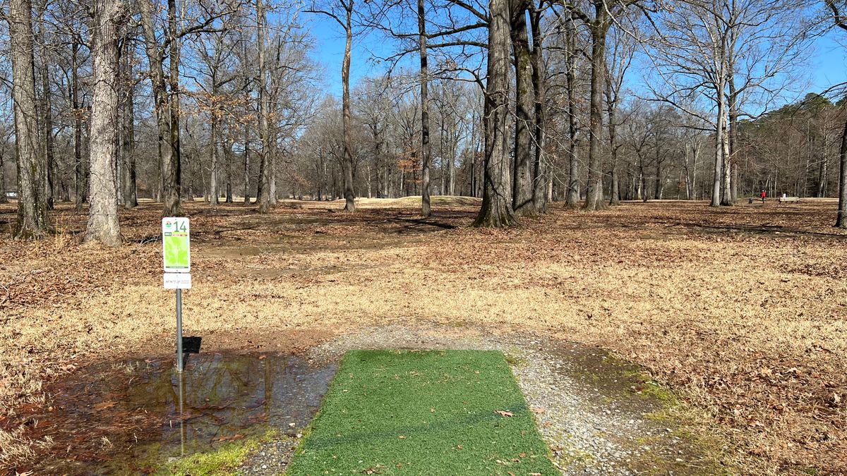 Hole 14