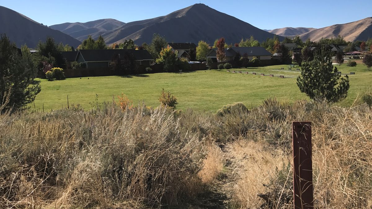 Hole 7