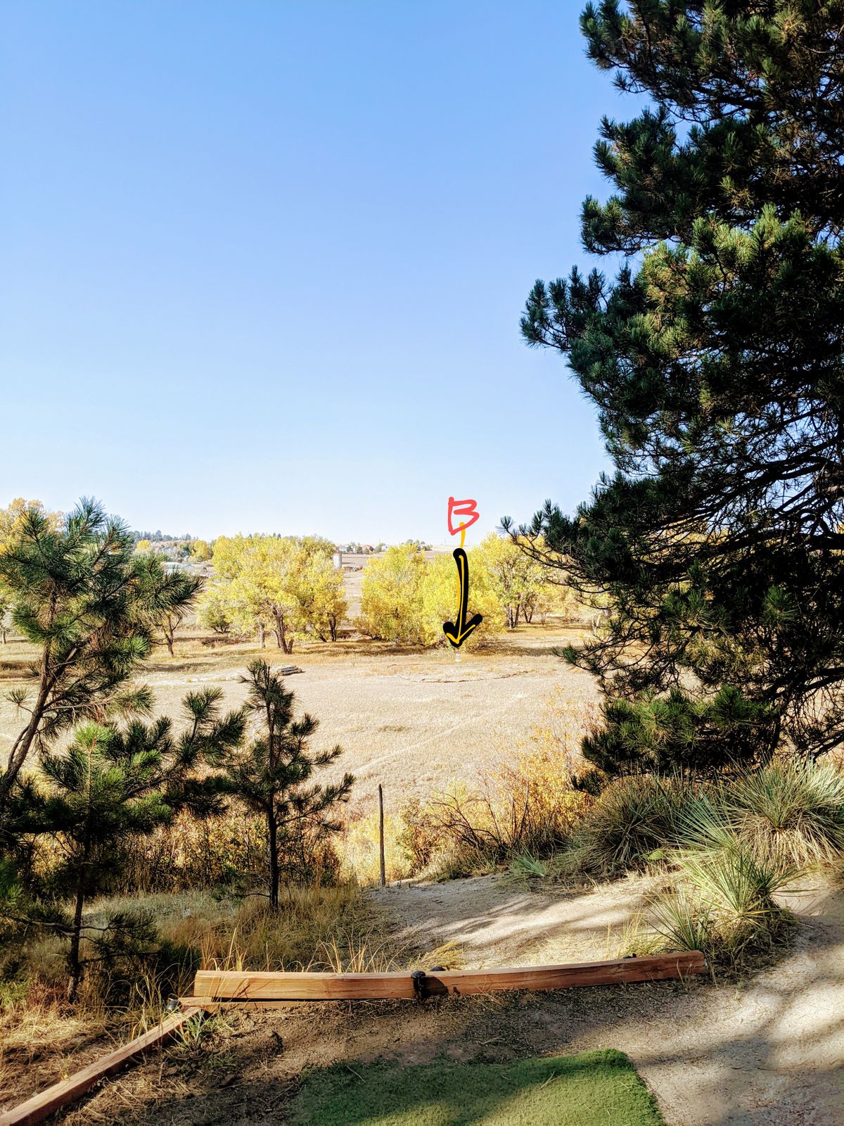 Yellow pin placement. Tee is elevated 30ish feet?