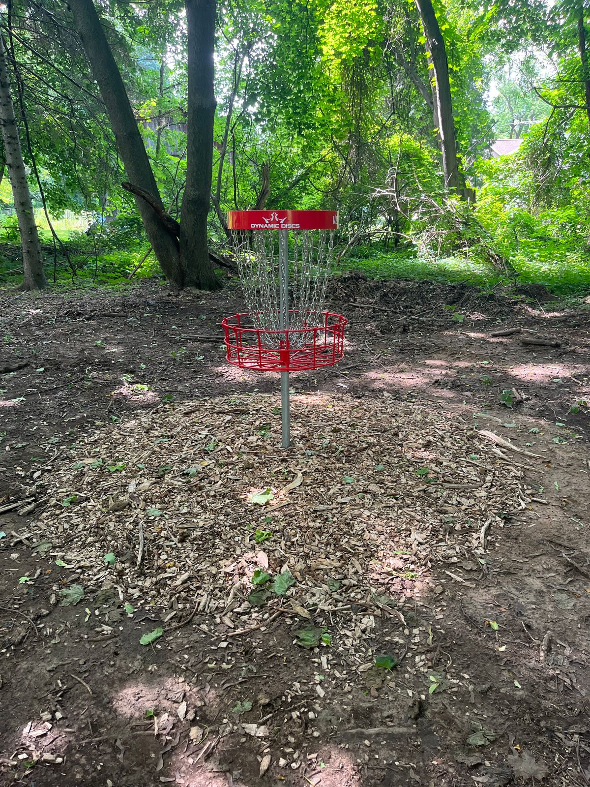 Hole #8 Basket