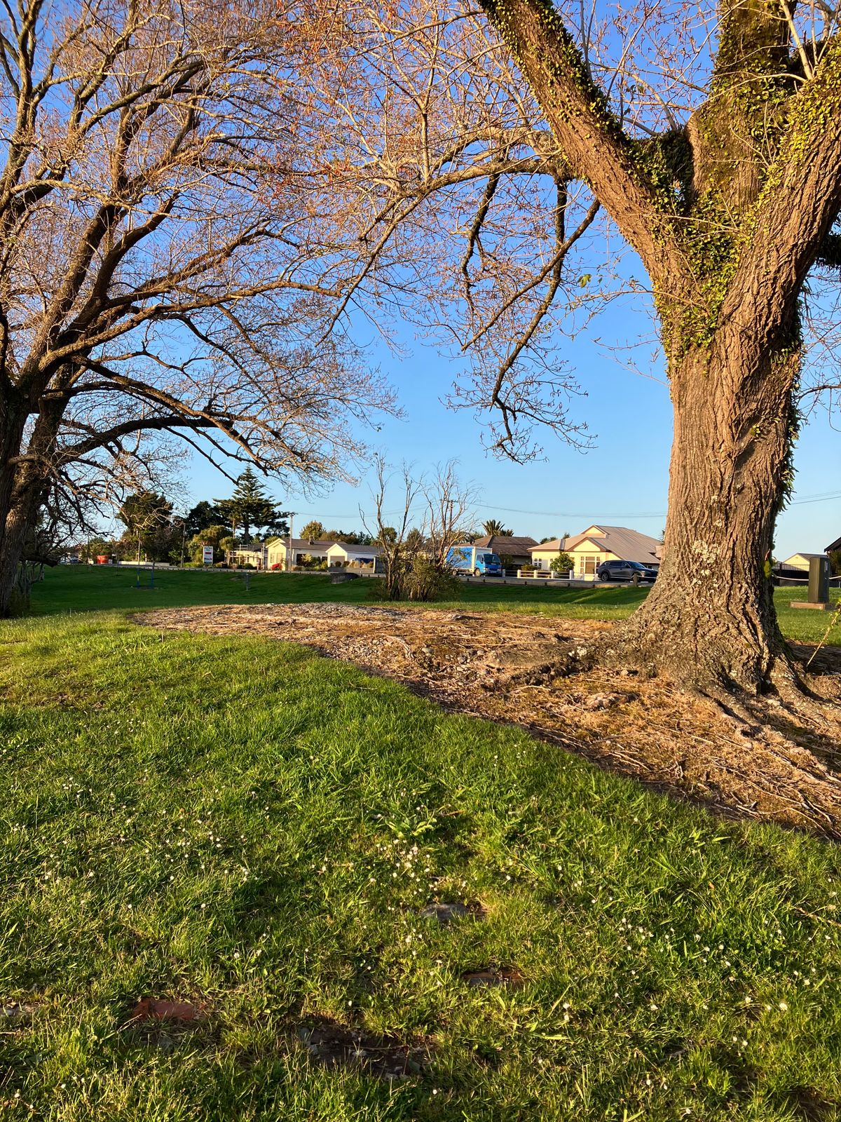 Tee 7