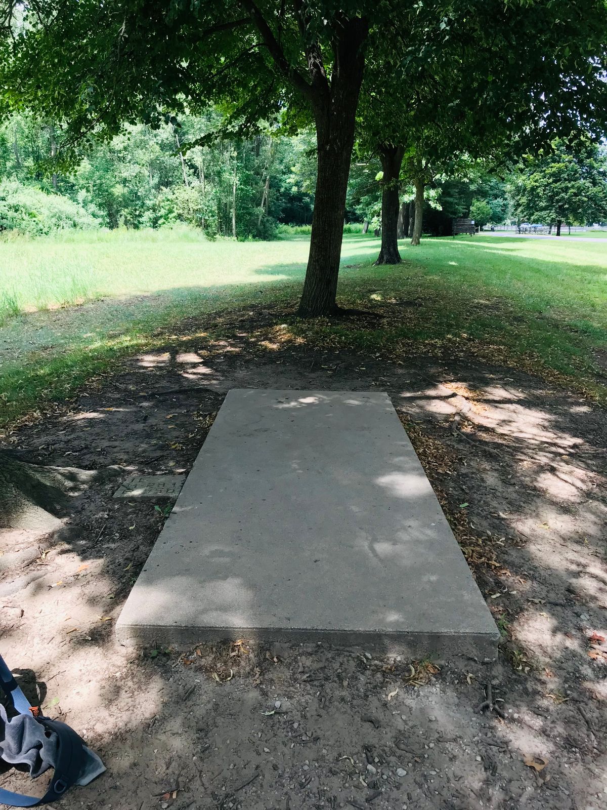 Hole 16 ready for a tree-jection !