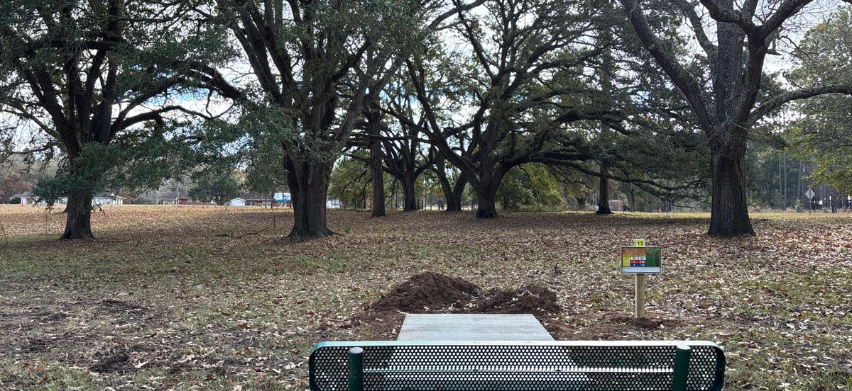 Tee 15
