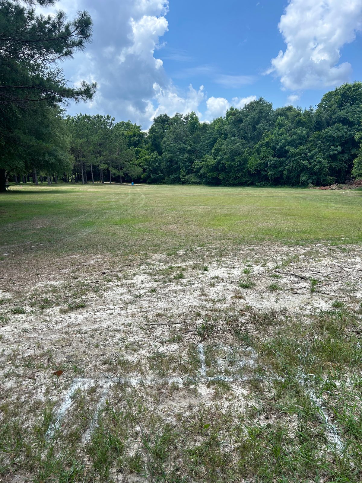 Hole 12 tee pad walk up the path in the middle of 11 Fairway and out of the woods to get to this tee