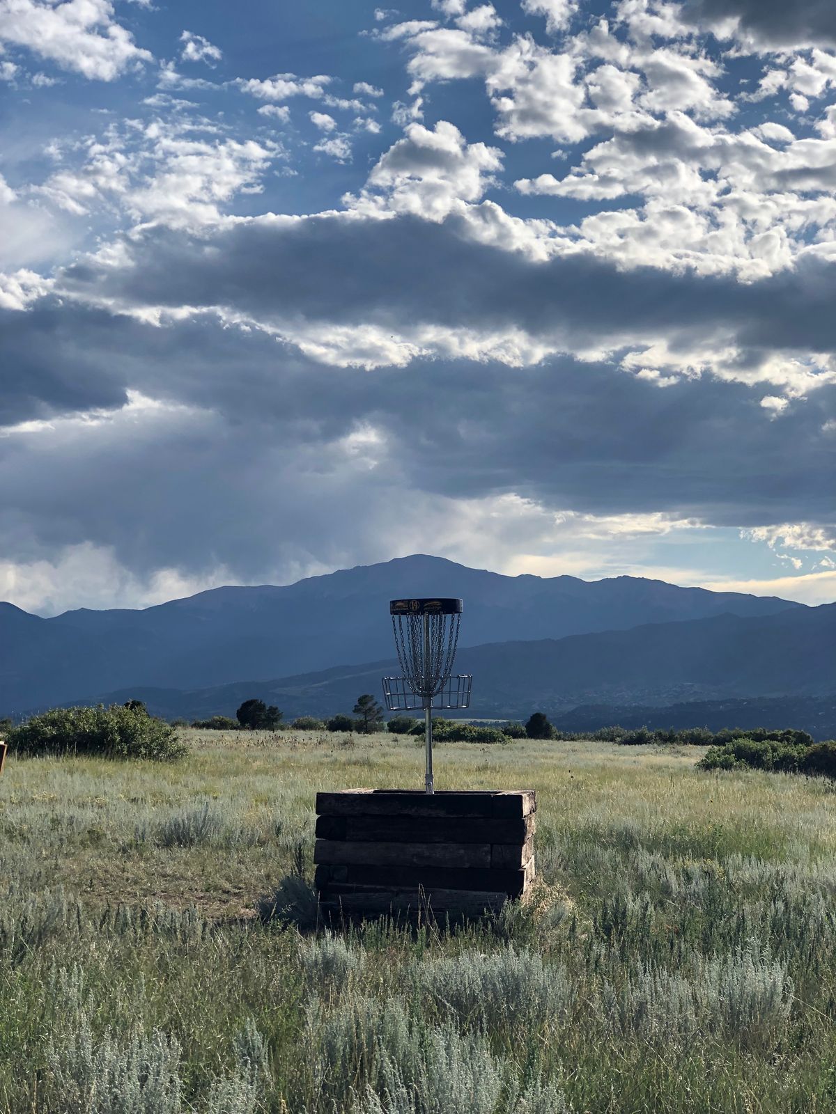 Elevated basket on hole 14. (Late summer)