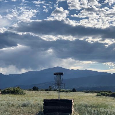 Elevated basket on hole 14. (Late summer)