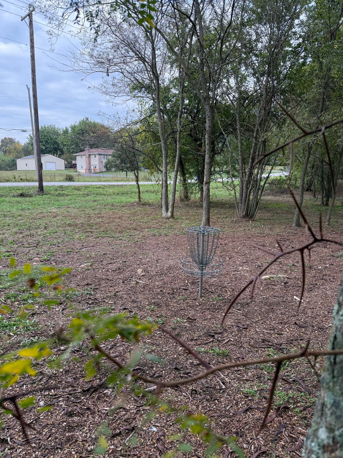 Thorny Hole