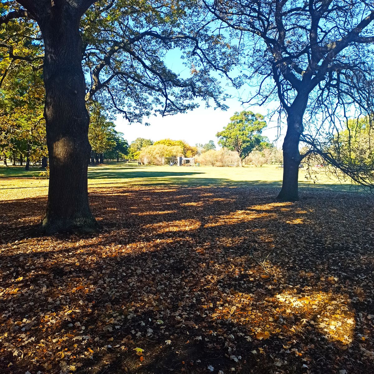 Hole 2