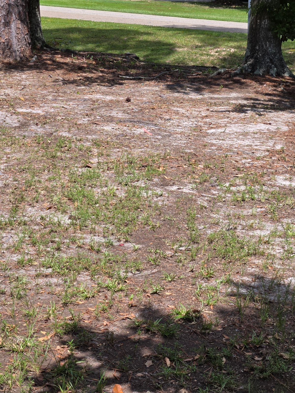 Hole 3, no tee area.