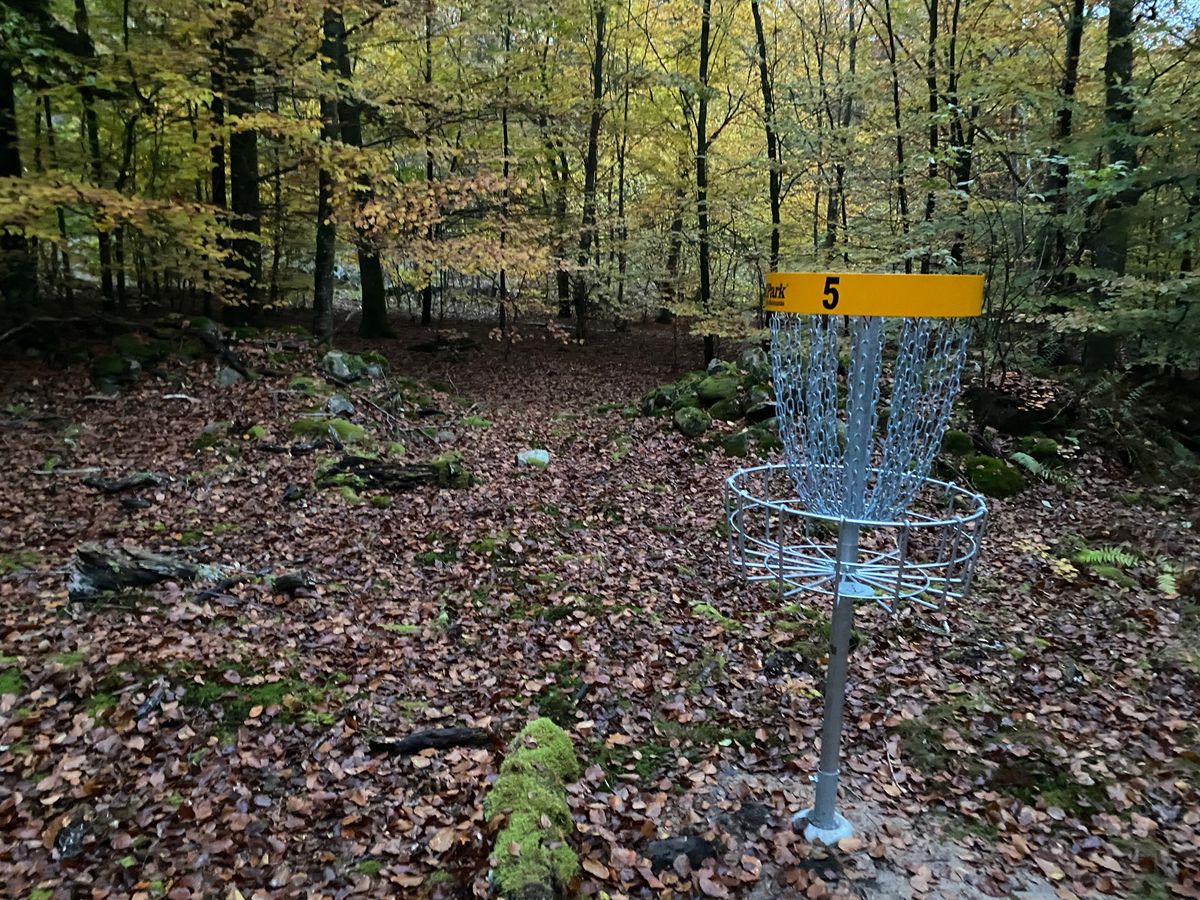 Basket oh hole 5