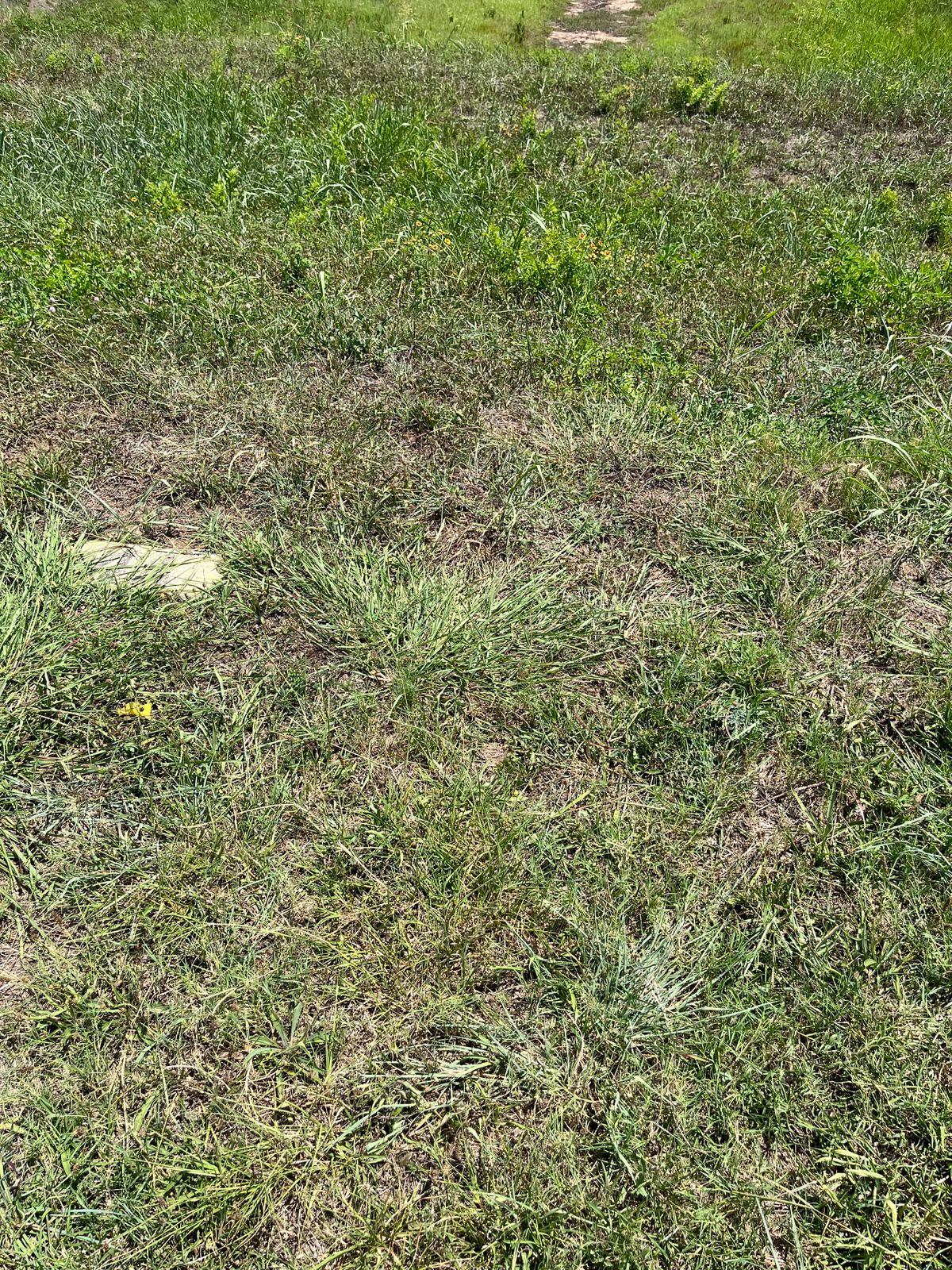Hole 4 A