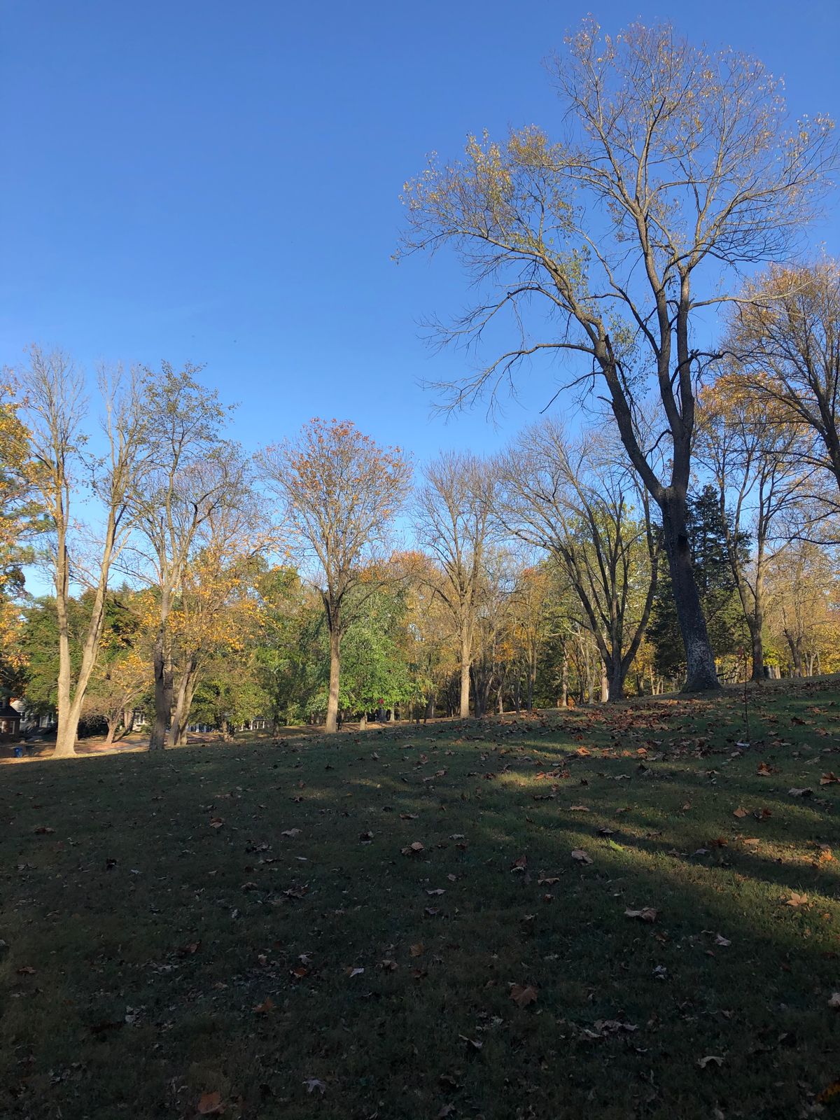 Hole 5