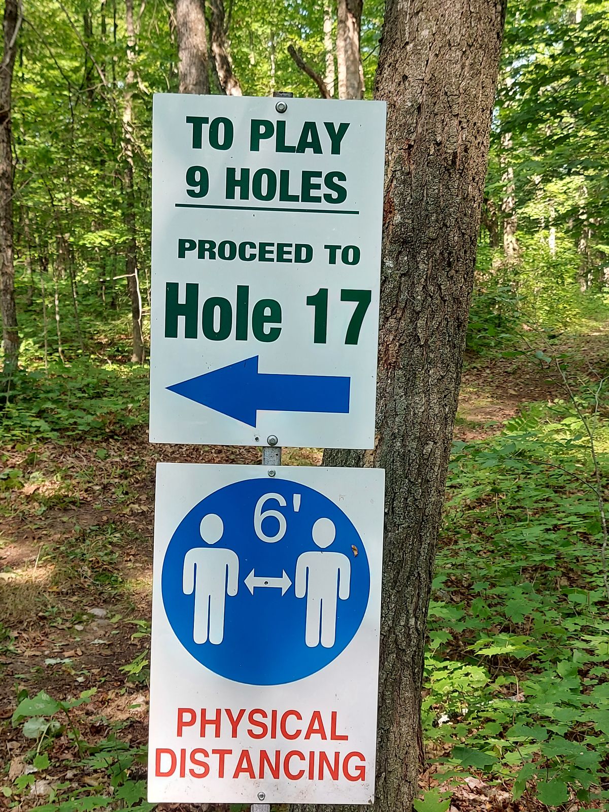 To play 9 holes.🪵🌳🪵🌳